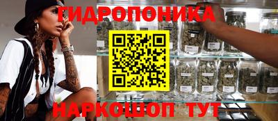 a pvp Пенза